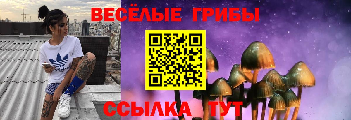 Копейск  наркота  Псилоцибиновые грибы мицелий  Вход с VPN  Галлюциногенные грибы ЛСД 